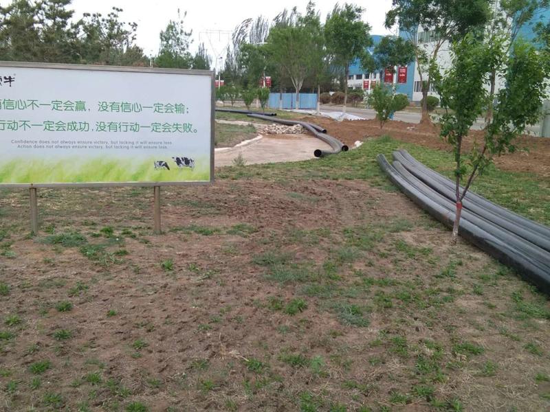 25154615791.jpg